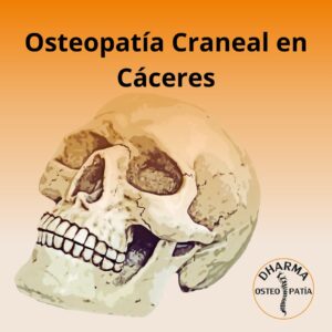 Osteopatía Craneal en Cáceres